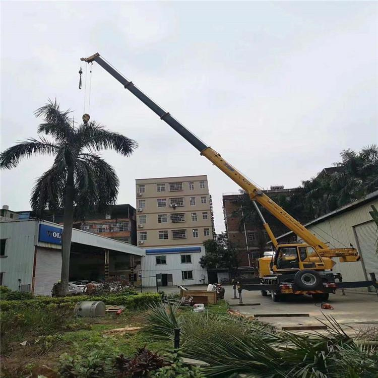 西林吊车吊大树几种方法